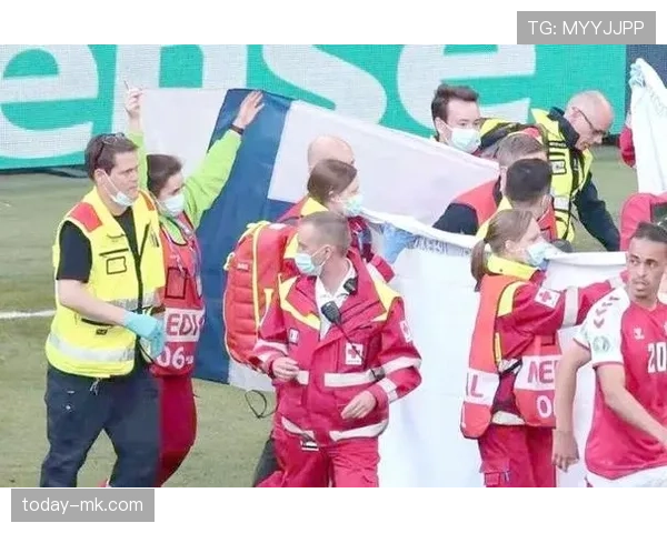 欧洲杯期间球迷冲突升级，警方逮捕数十人，赛事安全引发关注