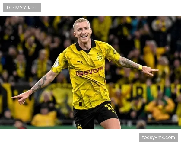 法兰克福强势崛起,德甲复兴之路闪耀赛场 法兰克福强势崛起,德甲复兴之路闪耀赛场