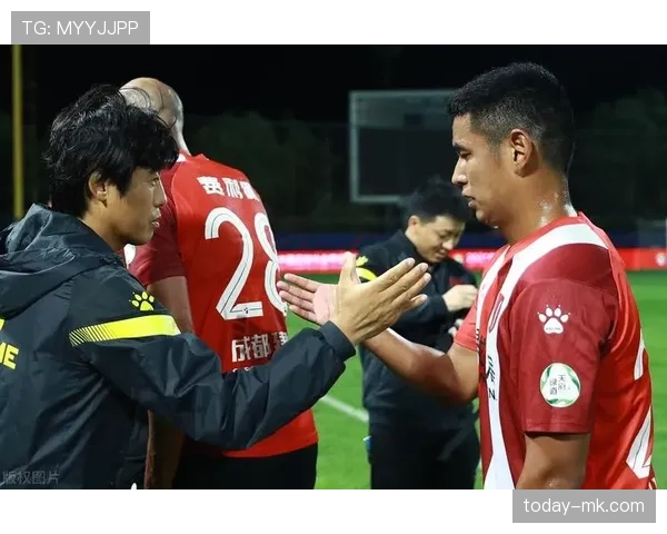 维罗纳边路进攻火力全开，稳健表现助球队斩获关键胜利