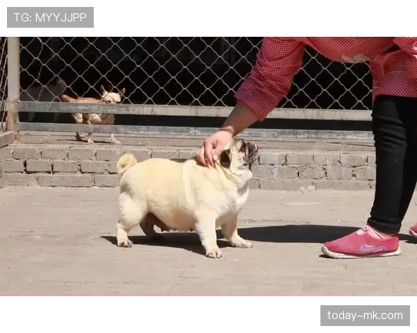 看全红婓训练视频——场边她和队友笑成小孩，站上台瞬间冷到骨子里