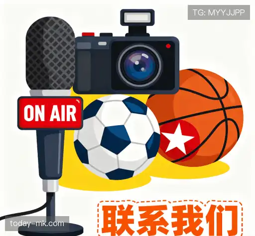对接mk体育官网